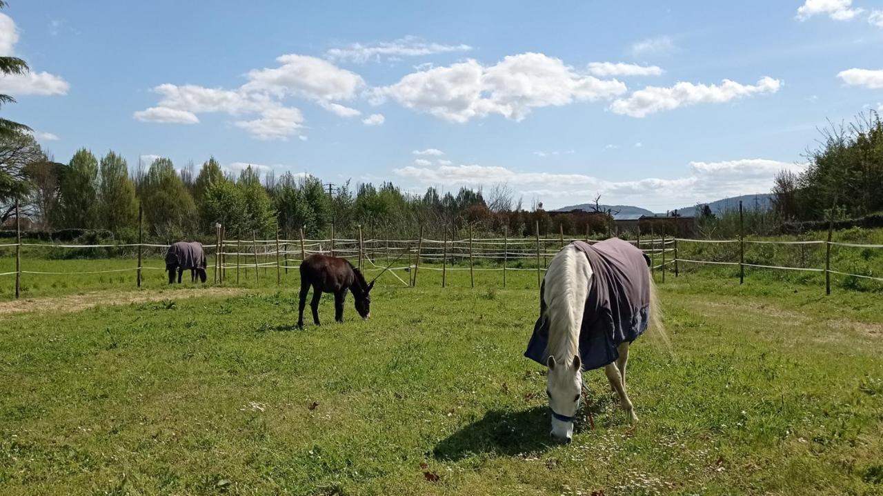 Il Fienile Della Farnia Leilighet Pistoia Eksteriør bilde